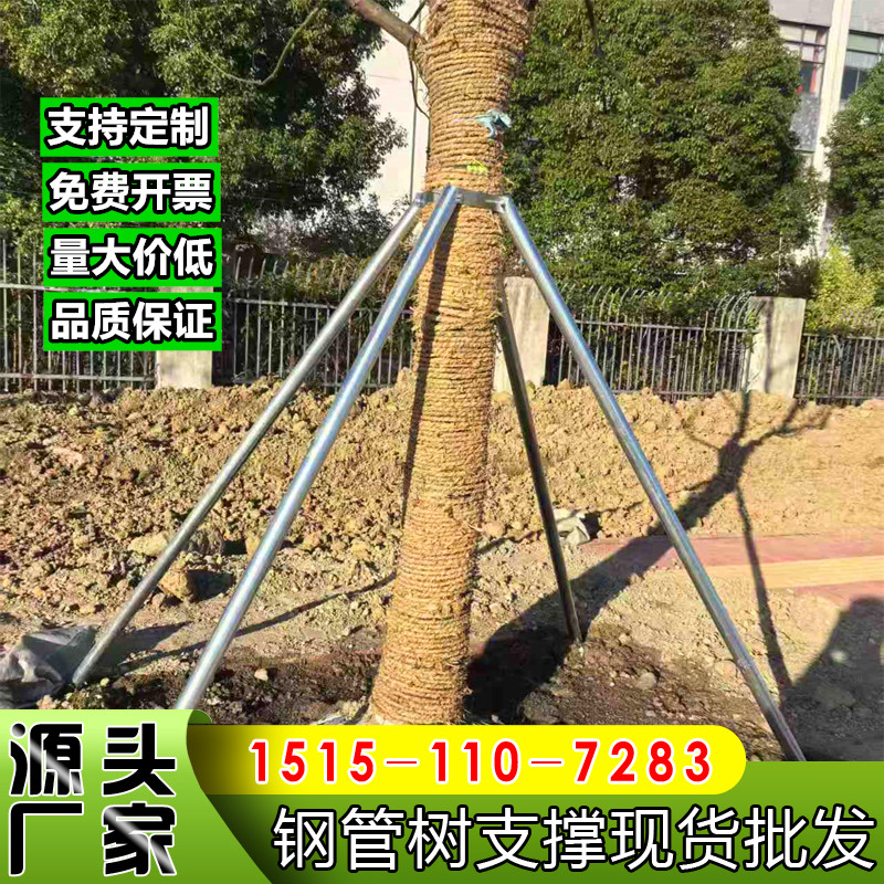 钢管苗木防风支撑器现货定制图片