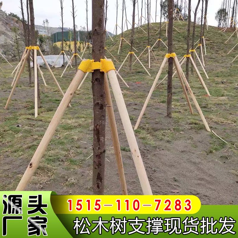 树木支撑固定器支撑架杆杉木松木杨木棍园林绿化防风工程稳定支架