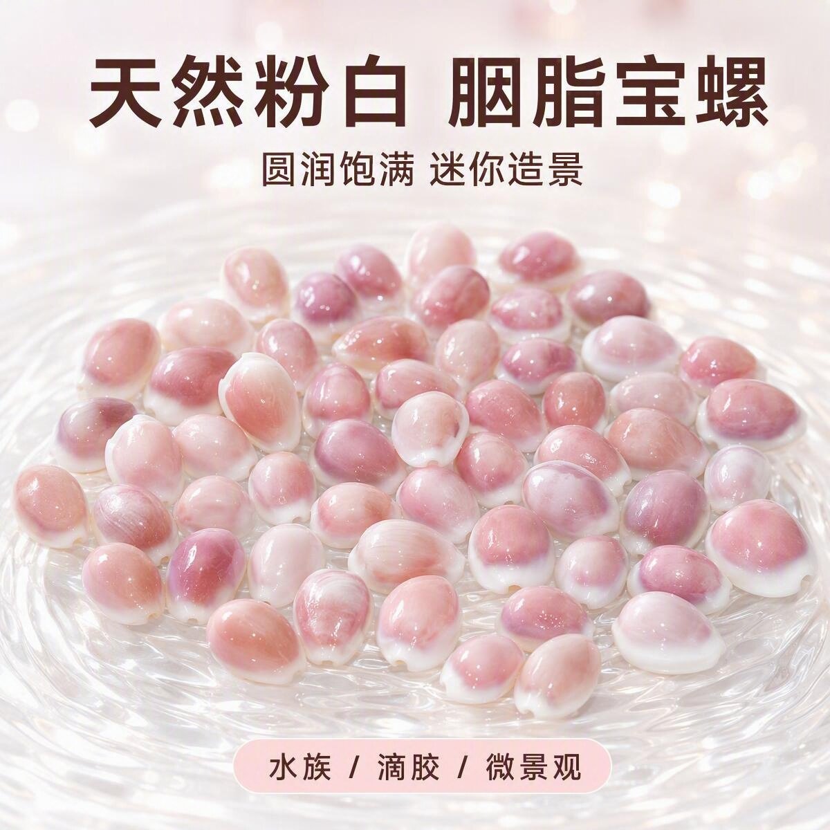 天然胭脂宝螺粉白小海螺贝壳 可爱粉螺滴胶手工DIY鱼缸微景观造景图片