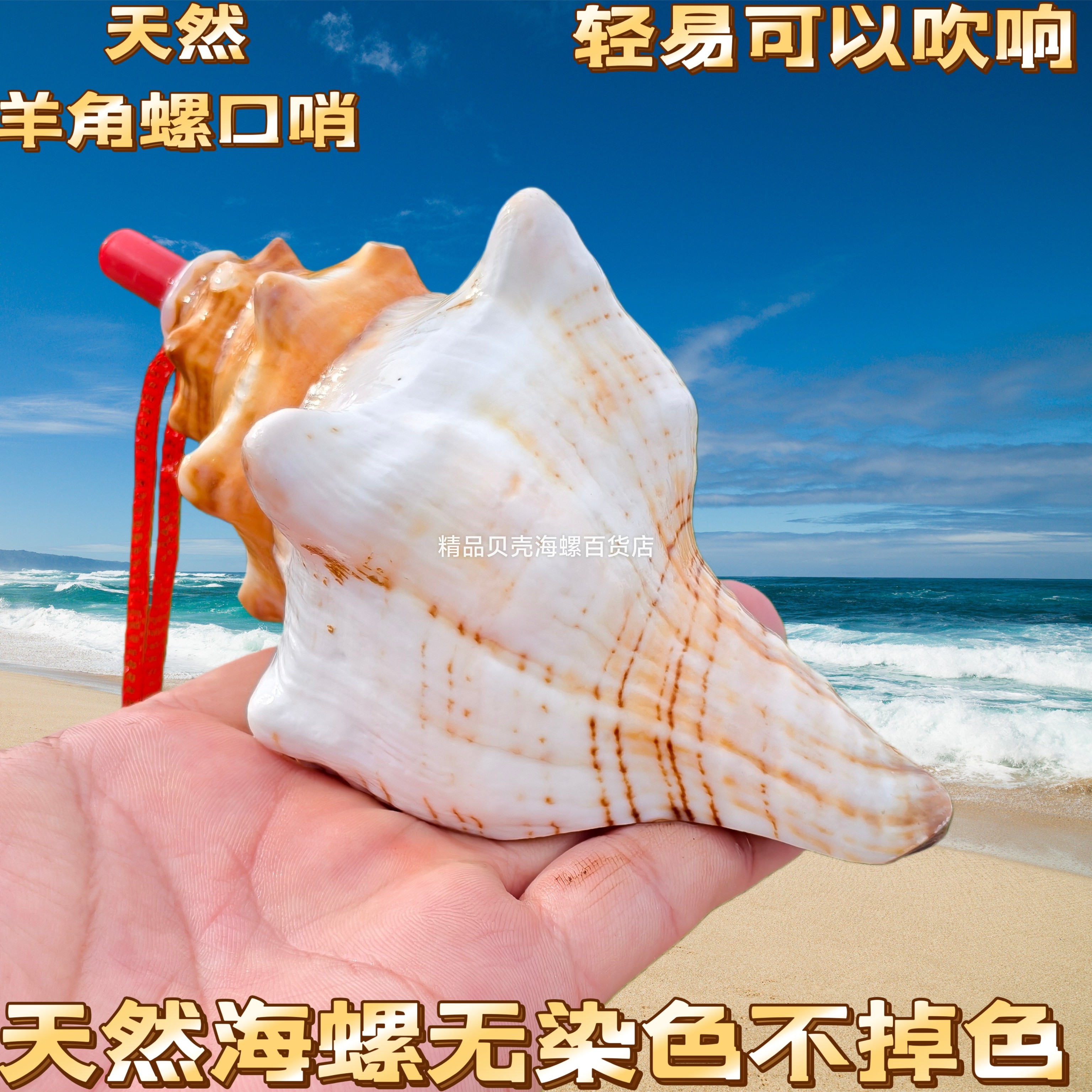 天然海螺号角可吹响超大哨子喇叭贝壳口哨工艺品儿童玩具小螺号