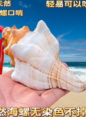 天然海螺号角可吹响超大哨子喇叭贝壳口哨工艺品儿童玩具小螺号
