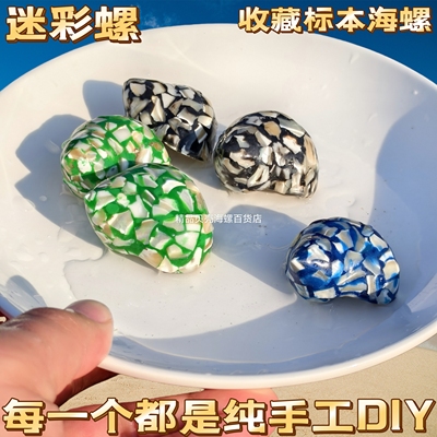 寄居蟹壳替换壳手工宠物壳卡通壳diy新手寄居蟹饲养套装天然螺壳