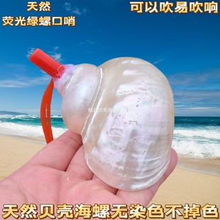天然海螺号喇叭口哨儿童吹号玩具小螺号创意礼物大海螺号角