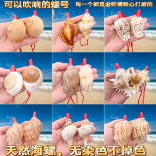天然大海螺贝壳螺号哨子儿童玩具口哨贝壳工艺品可吹响号角礼物