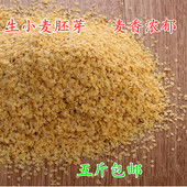 新小麦胚芽生小麦胚芽片无添加纯小麦胚芽片杂粮食用鲜胚芽 包邮