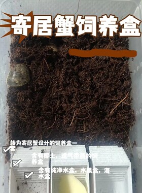 纯椰糠保湿保温透气寄居蟹饲养盒套装全新干净带椰土和4个小盒子