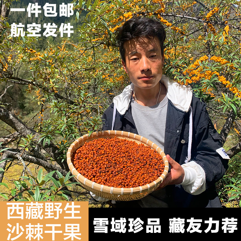 西藏林芝沙棘果500克干货村庄收货一手货源