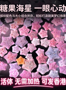 海燕海星小宠物海缸活体动物派大星迷你海洋生物清洁水母活物粉色