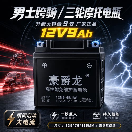 12V摩托车5A7A9A电池弯梁车干电池蓄电池免维护摩托车通用电池