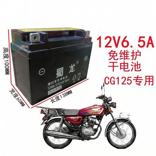 蜀龙CG125摩托车通用12V6.5A