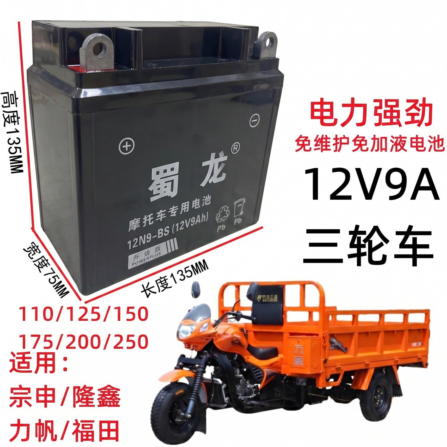 蜀龙免维护三轮车干电瓶12V9A