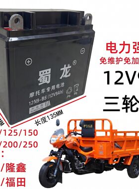 蜀龙免维护三轮车干电瓶12V9A