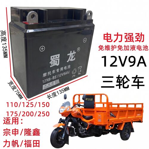 蜀龙免维护三轮车干电瓶12V9A