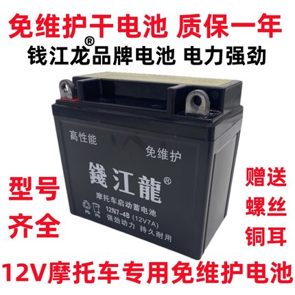 钱江龙摩托车电瓶12v通用免维护12v9a踏板车125助力110弯梁干电瓶