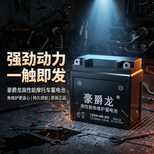 三轮摩托车通用电瓶12V9A豪爵龙