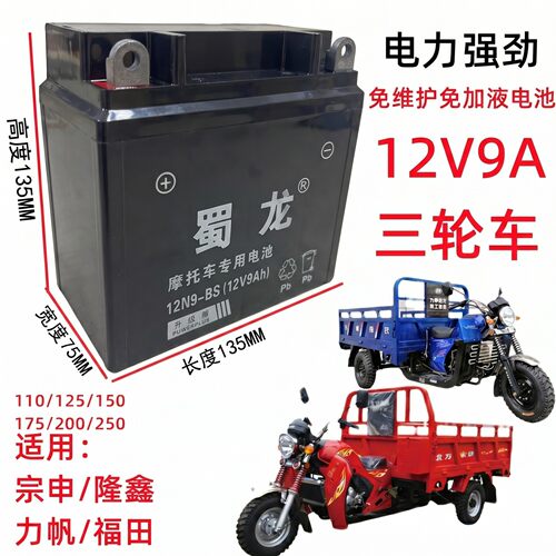 蜀龙免维护三轮车蓄电池12N9-4B
