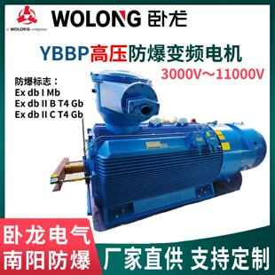 卧龙南阳防爆YBBP高压隔爆变频调速三相异步电机6/10kVIC416冷