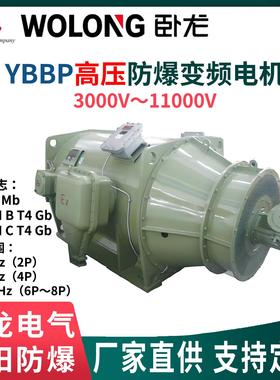 南阳防爆YBBP高压隔爆变频电机6/10kV ExdbⅠ/ⅡBT4/ⅡCT4 IP55