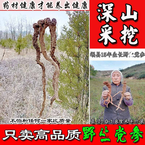 野生无硫新货甘肃岷县老党参