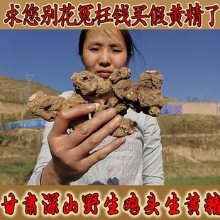 甘肃深山野生鸡头黄精中药材非九蒸九晒多年生新鲜干野生黄精泡酒