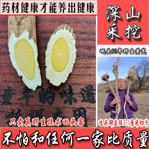 甘肃特级无硫天然深山野生老黄芪