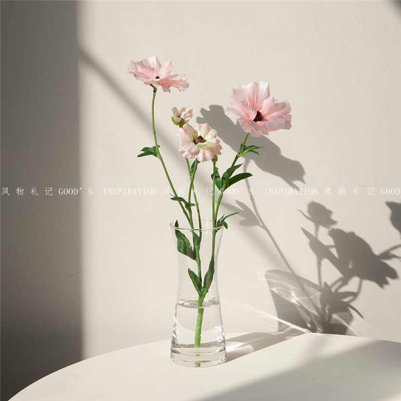 玻璃花瓶 自制韩式简约ins博主小蛮腰喇叭百搭水养鲜花器