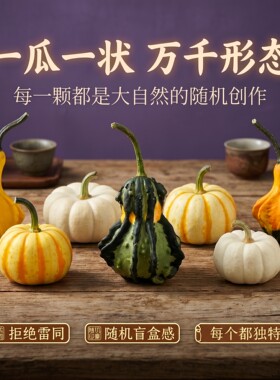 墨西哥小葫芦迷你小南瓜 造型奇异茶桌书房摆件文玩 可长久放置