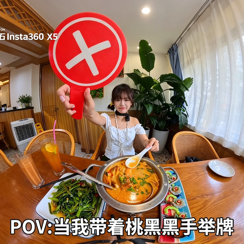 桃黑黑举牌对错举手牌打卡拍照道具打钩打叉牌子对号陶嘿旅游美食