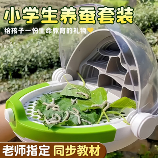 蚕宝宝学生养蚕套装三年级养蚕全套工具蚕卵蝉宝宝幼虫饲养盒桑叶