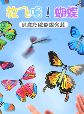 新款儿童户外玩具会飞的蝴蝶喷花礼盒飞去来器儿童竹蜻蜻露营玩具