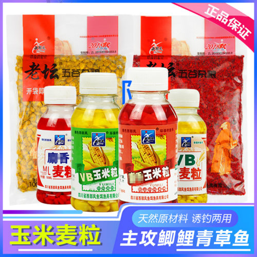 西部风麦粒野钓鲤鱼水库打窝料