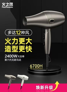 火之凤吹风机6700H理发店专用发风筒型师发廊专业无刷大功率速干
