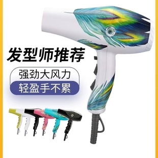 火之凤8960H吹风机专用发廊大功干率吹风筒理发店家用静音2400W速