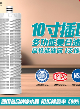 10寸插口折叠PP棉芯复合活性炭家用厨房直饮纯水机净水器通用滤芯