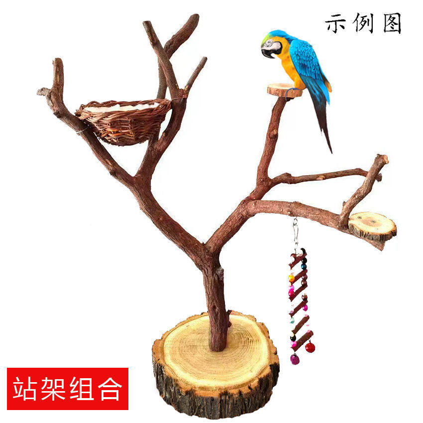 鹦鹉站架树枝鸟站架落地式训鸟架原木玄风站杆站台秋千鸟笼鸟用品