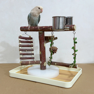 鹦鹉站架子桌面树枝小鸟站杆台训练上厕所拉粑粑虎皮牡丹原木秋千