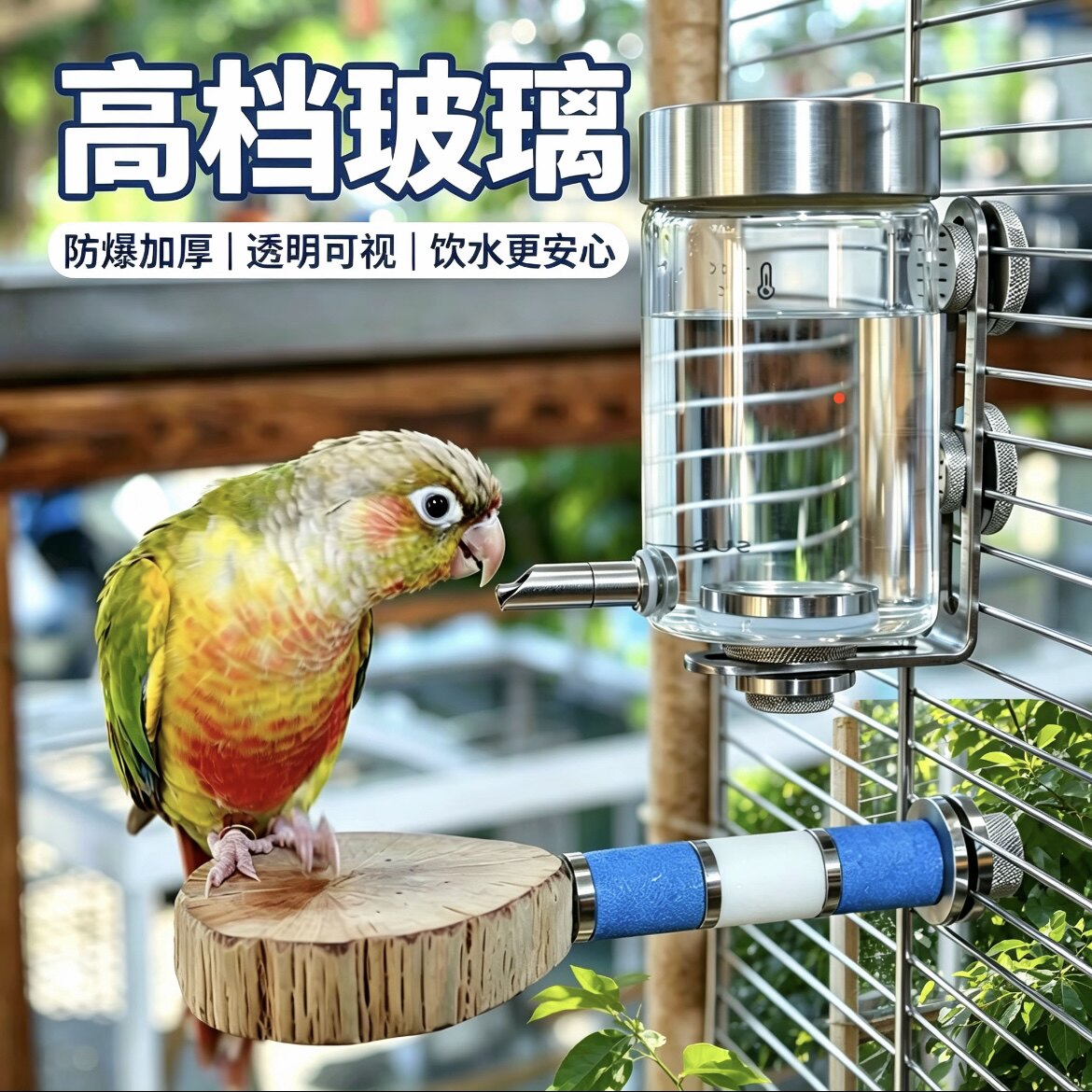 鹦鹉撞针水壶鸟用饮水器鸟喝水杯牡丹虎皮玄凤玻璃自动喂水鸟用品