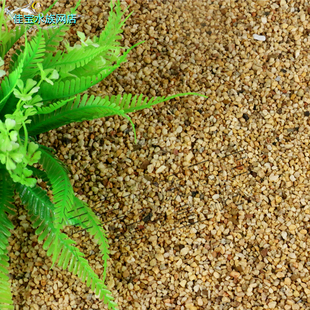 黄金沙造景底砂鱼缸底沙黄沙水族箱装饰品细砂子黄砂河砂鱼缸砂