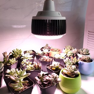 led全光谱植物生长灯泡室内补光灯花卉盆栽育苗植物大功率补光灯