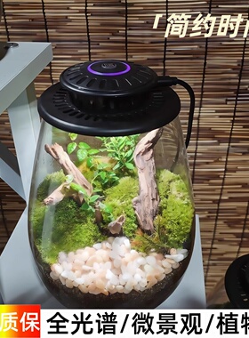 UFO全光谱微景观生态瓶补光灯仿太阳led苔藓植物生长灯生命之树灯