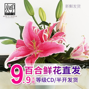 云南昆明香水百合向日葵小雏菊同城鲜花速递插花生日礼物水养插花