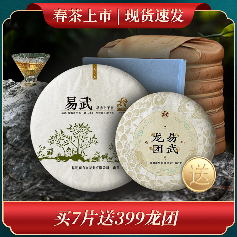 观自在茶叶2025年易武正山春茶新茶普洱茶生茶生饼357g饼茶七子饼