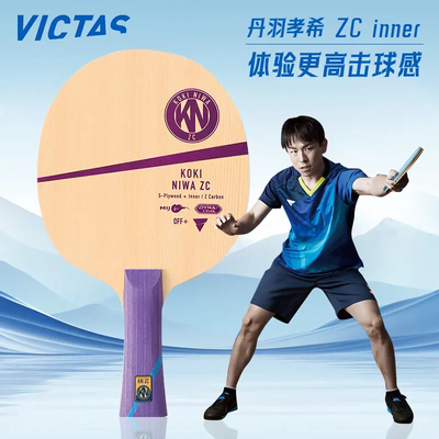 泥洼ZC碳素内置纤维板乒乓球拍