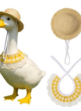 跨境新品Porch Goose Costume2025春夏田园风门廊鹅宠物装饰潮牌