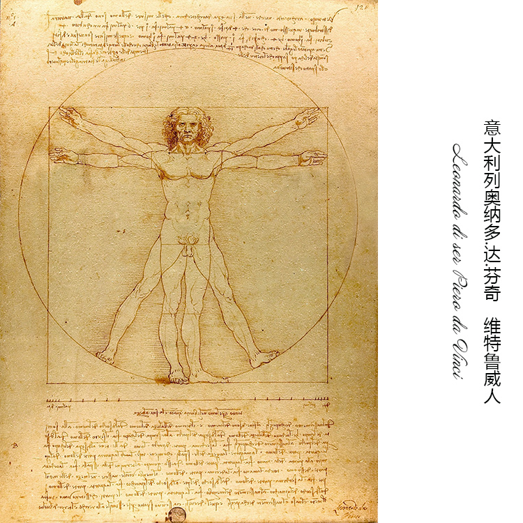 维特鲁威人 达芬奇Leonardo da Vinci素描作品 欧式书房装饰画芯图片