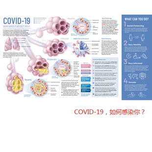 科普科学海报英文版 COVID 如何感染你 饰画芯心H 诊所医院装