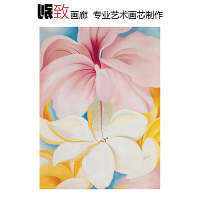 芙蓉与鸡蛋花美国花卉抽象装饰画