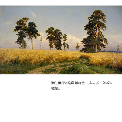 黑麦田Shishkin俄罗斯森林风景画