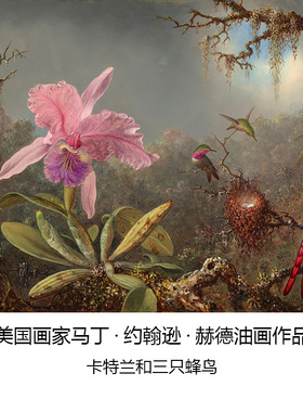 卡特兰和三只蜂鸟Martin Johnson Heade美国风景油画客厅装饰画芯