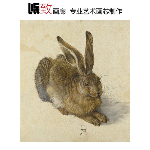 兔子丢勒德国文艺复兴动物水彩画
